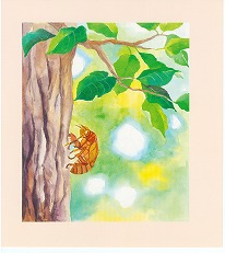 �J�u�g���Vp.2