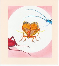 �J�u�g���Vp.3