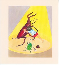 �J�u�g���Vp.11