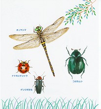 �J�u�g���Vp.16